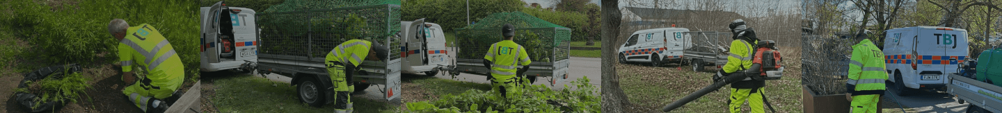 TBJ Allservice arbetar med skötsel och renhållning av grönområden